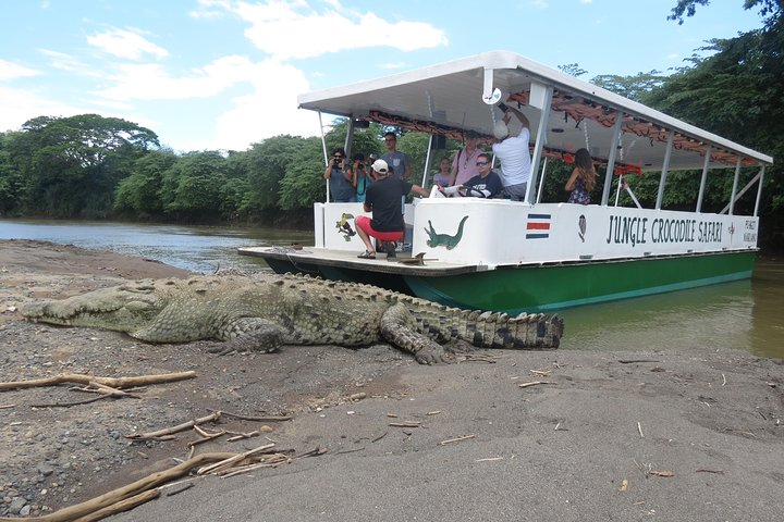 Jungle Crocodile Safari 